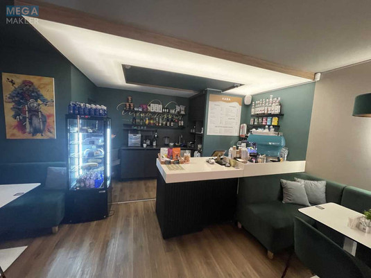 Оренда комерційної нерухомості, 50&nbsp;кв.м, <a class="location-link" href="/kiev/" title="Недвижимость Київ">Київ</a>, <a class="location-link" href="/kiev/pecherskij/" title="Недвижимость Печерський район">Печерський р-н</a>, Шовковична вул., 48 (изображение 6)