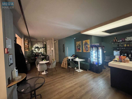 Оренда комерційної нерухомості, 50&nbsp;кв.м, <a class="location-link" href="/kiev/" title="Недвижимость Київ">Київ</a>, <a class="location-link" href="/kiev/pecherskij/" title="Недвижимость Печерський район">Печерський р-н</a>, Шовковична вул., 48 (изображение 9)