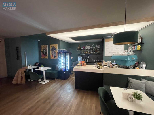 Оренда комерційної нерухомості, 50&nbsp;кв.м, <a class="location-link" href="/kiev/" title="Недвижимость Київ">Київ</a>, <a class="location-link" href="/kiev/pecherskij/" title="Недвижимость Печерський район">Печерський р-н</a>, Шовковична вул., 48 (изображение 10)