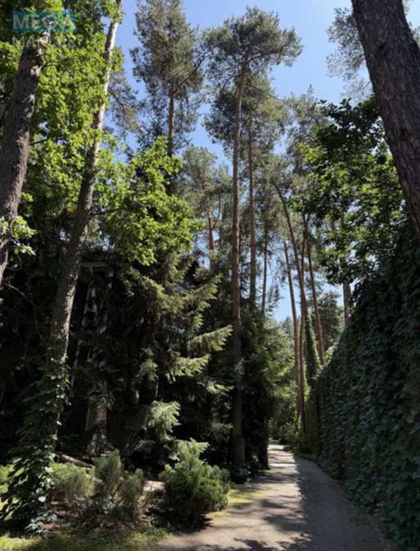 Оренда дома, <a class="location-link" href="/romankov/" title="Недвижимость Романків">Романків</a>, Лісова (изображение 22)