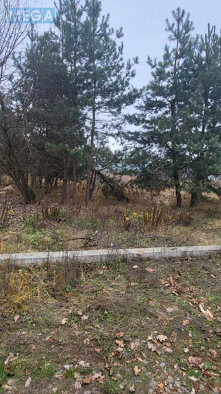 Продажа участка, 40,50&nbsp;соток, участок под жилую застройку, <a class="location-link" href="/vita-pochtovaya/" title="Недвижимость Віта-Поштова">Віта-Поштова</a>, Гоголя (изображение 5)