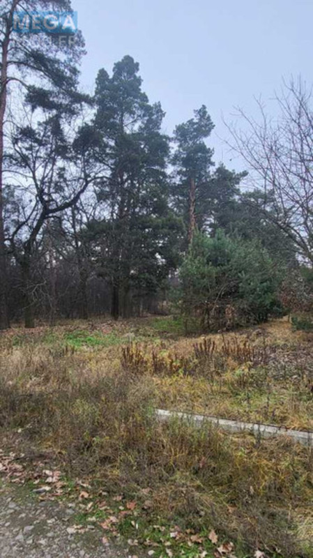 Продажа участка, 40,50&nbsp;соток, участок под жилую застройку, <a class="location-link" href="/vita-pochtovaya/" title="Недвижимость Віта-Поштова">Віта-Поштова</a>, Гоголя (изображение 6)