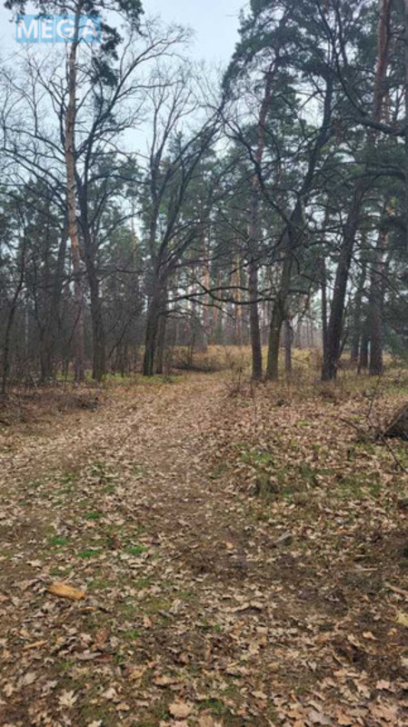 Продажа участка, 40,50&nbsp;соток, участок под жилую застройку, <a class="location-link" href="/vita-pochtovaya/" title="Недвижимость Віта-Поштова">Віта-Поштова</a>, Гоголя (изображение 8)