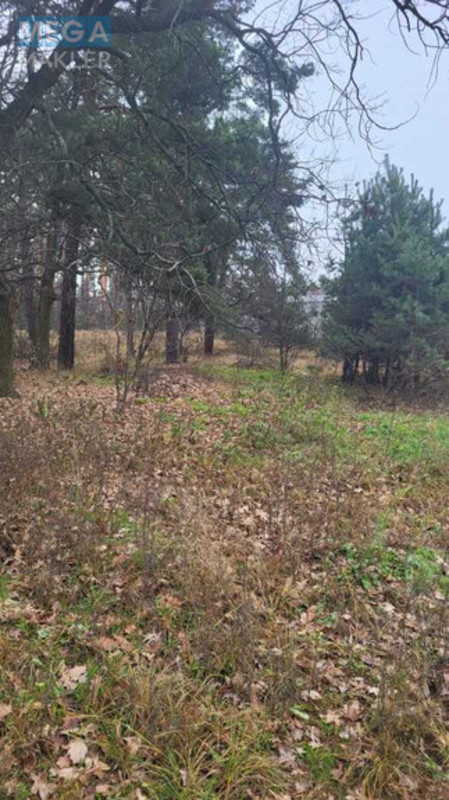 Продажа участка, 40,50&nbsp;соток, участок под жилую застройку, <a class="location-link" href="/vita-pochtovaya/" title="Недвижимость Віта-Поштова">Віта-Поштова</a>, Гоголя (изображение 9)