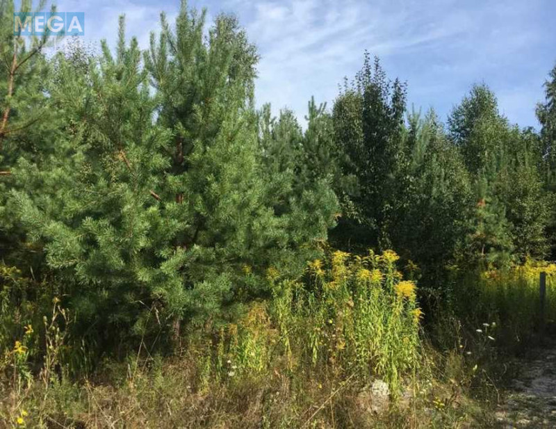 Продажа участка, 15&nbsp;соток, участок под жилую застройку, <a class="location-link" href="/vita-pochtovaya/" title="Недвижимость Віта-Поштова">Віта-Поштова</a>, Звенигородська (изображение 6)