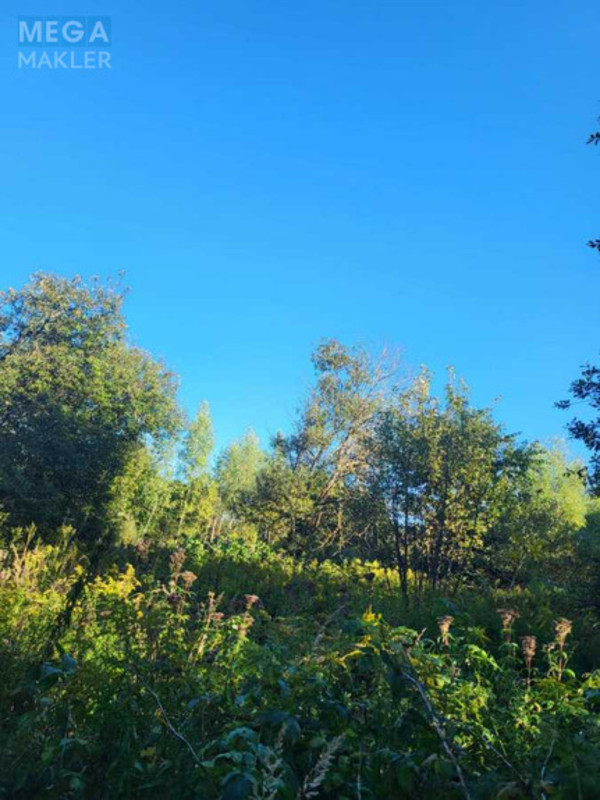 Продажа участка, 8&nbsp;соток, земля сельскохозяйственного назначения, <a class="location-link" href="/zhirovka/" title="Недвижимость Жирівка">Жирівка</a>, Кишова (изображение 4)