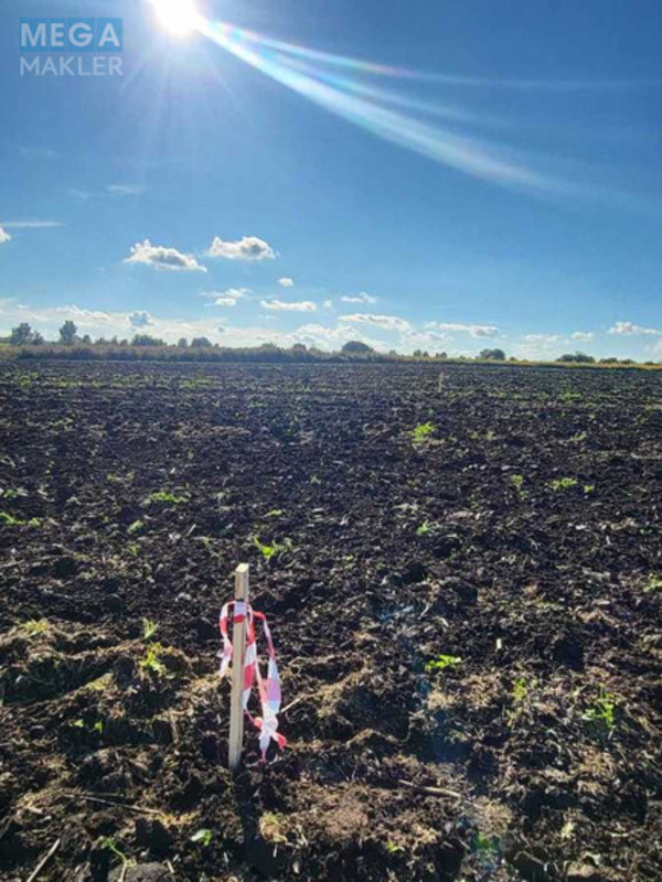 Продажа участка, 10&nbsp;соток, участок под жилую застройку, <a class="location-link" href="/gaj-selo-lv-pustomytovskij-rajon/" title="Недвижимость Гаї">Гаї</a>, Глуховичі (изображение 3)