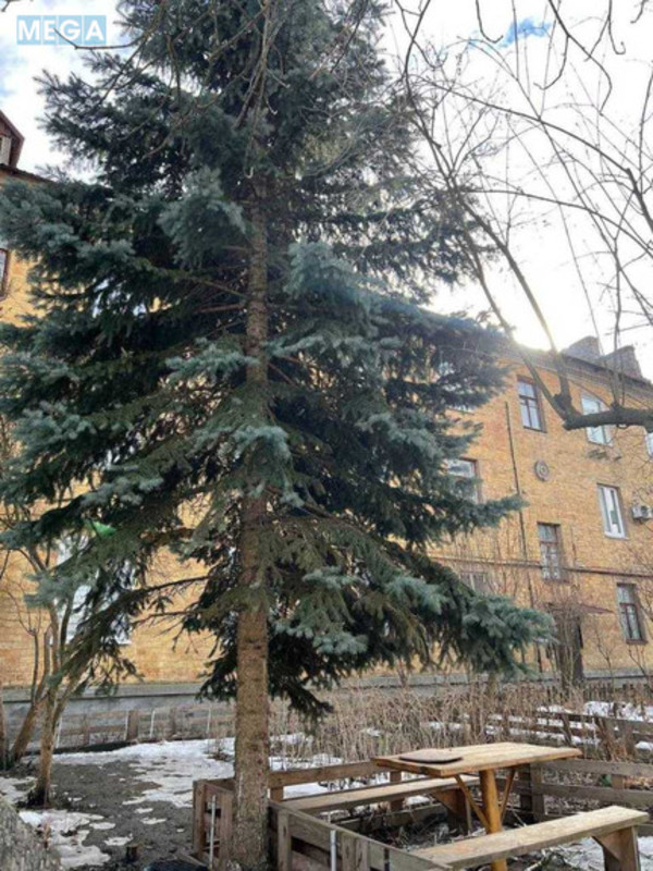 Продаж 2 кімнатної квартири (50/?/8), 3 пов. 3 пов. будинку, <a class="location-link" href="/vasilkov/" title="Недвижимость Васильків">Васильків</a>, декабристів (изображение 14)