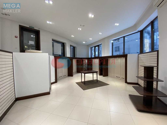Продаж комерційної нерухомості, 118&nbsp;кв.м, под магазин, <a class="location-link" href="/kiev/" title="Недвижимость Київ">Київ</a>, <a class="location-link" href="/kiev/pecherskij/" title="Недвижимость Печерський район">Печерський р-н</a>, Кловський узвіз, 7А (изображение 9)