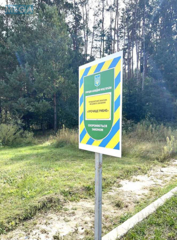 Продажа участка, 20&nbsp;соток, участок под жилую застройку, <a class="location-link" href="/varovichi/" title="Недвижимость Варовичі">Варовичі</a>, Університетська 8 (изображение 13)