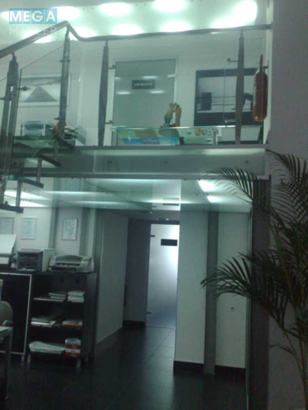 Продаж комерційної нерухомості, 237&nbsp;кв.м, под офис, <a class="location-link" href="/kiev/" title="Недвижимость Київ">Київ</a>, <a class="location-link" href="/kiev/goloseevskij/" title="Недвижимость Голосіївський район">Голосіївський р-н</a>, Феодосийский пер., 14 (изображение 7)