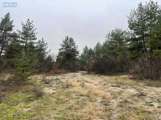 Продаж комерційної нерухомості, 1&nbsp;000&nbsp;кв.м, <a class="location-link" href="/pogreby-selo-kv-brovarskij-rajon/" title="Недвижимость Погреби">Погреби</a>, Кодацька (изображение 7)