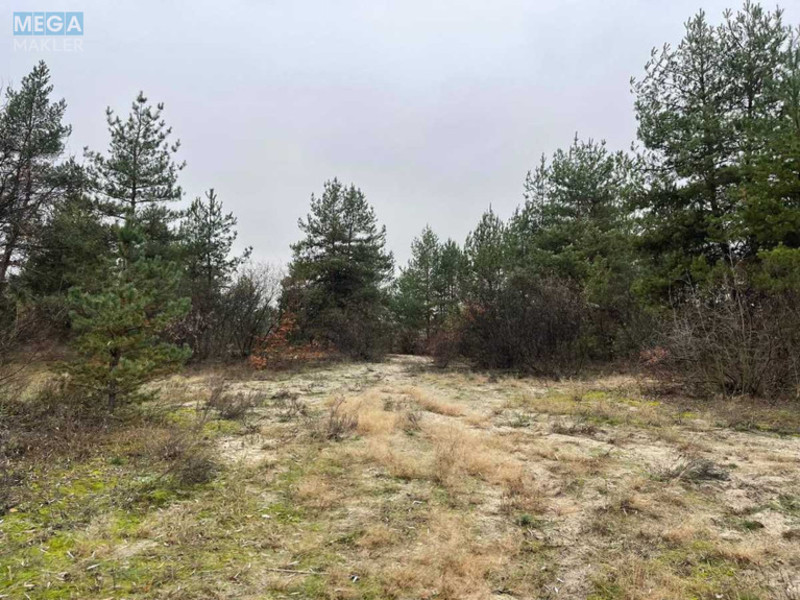 Продаж комерційної нерухомості, 1&nbsp;000&nbsp;кв.м, <a class="location-link" href="/pogreby-selo-kv-brovarskij-rajon/" title="Недвижимость Погреби">Погреби</a>, Кодацька (изображение 7)