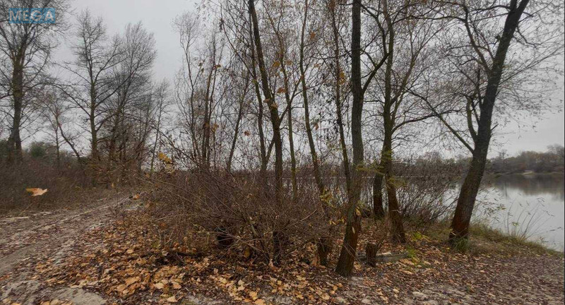 Продаж комерційної нерухомості, 1&nbsp;000&nbsp;кв.м, <a class="location-link" href="/pogreby-selo-kv-brovarskij-rajon/" title="Недвижимость Погреби">Погреби</a>, Кодацька (изображение 23)