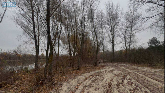 Продаж комерційної нерухомості, 1&nbsp;000&nbsp;кв.м, <a class="location-link" href="/pogreby-selo-kv-brovarskij-rajon/" title="Недвижимость Погреби">Погреби</a>, Кодацька (изображение 24)