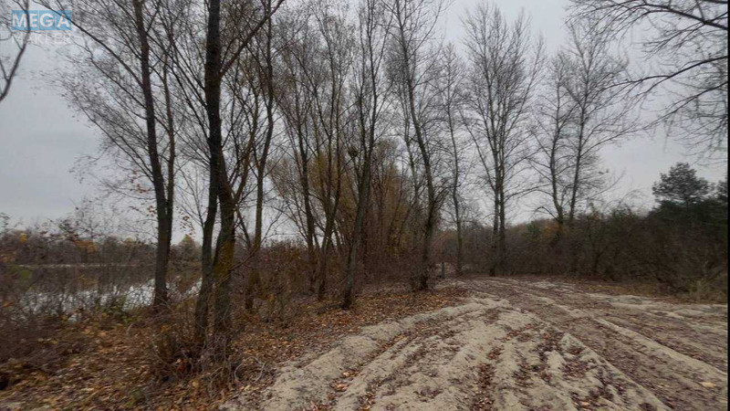 Продаж комерційної нерухомості, 1&nbsp;000&nbsp;кв.м, <a class="location-link" href="/pogreby-selo-kv-brovarskij-rajon/" title="Недвижимость Погреби">Погреби</a>, Кодацька (изображение 24)