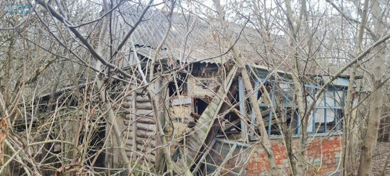 Продажа участка, 25&nbsp;соток, участок под жилую застройку, <a class="location-link" href="/prishivalnya/" title="Недвижимость Пришивальня">Пришивальня</a>, Набережна (изображение 3)