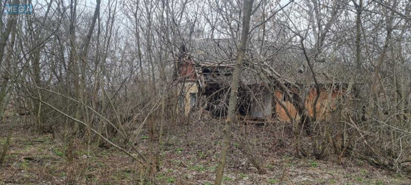 Продажа участка, 25&nbsp;соток, участок под жилую застройку, <a class="location-link" href="/prishivalnya/" title="Недвижимость Пришивальня">Пришивальня</a>, Набережна (изображение 4)