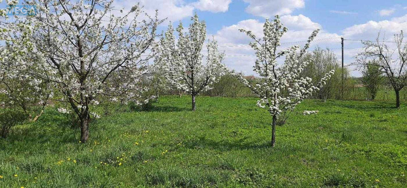 Продаж дома, 2&nbsp;поверху, 262&nbsp;кв.м, 7&nbsp;кімнат, ділянка 28&nbsp;соток, <a class="location-link" href="/remenov/" title="Недвижимость Ременів">Ременів</a>, Польова (изображение 4)