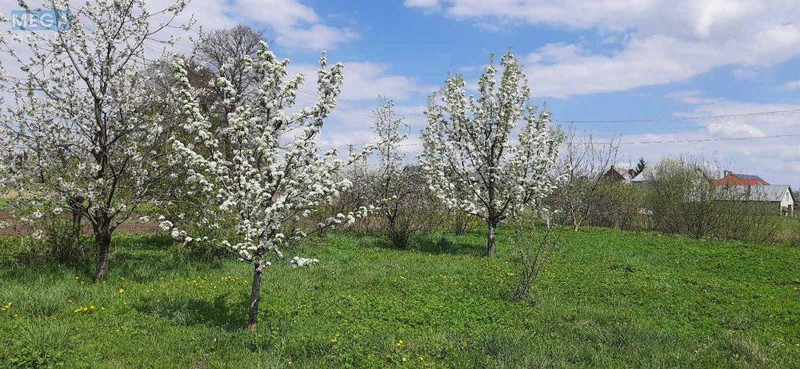 Продаж дома, 2&nbsp;поверху, 262&nbsp;кв.м, 7&nbsp;кімнат, ділянка 28&nbsp;соток, <a class="location-link" href="/remenov/" title="Недвижимость Ременів">Ременів</a>, Польова (изображение 11)