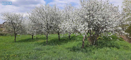 Продаж дома, 2&nbsp;поверху, 262&nbsp;кв.м, 7&nbsp;кімнат, ділянка 28&nbsp;соток, <a class="location-link" href="/remenov/" title="Недвижимость Ременів">Ременів</a>, Польова (изображение 12)