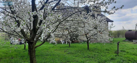 Продаж дома, 2&nbsp;поверху, 262&nbsp;кв.м, 7&nbsp;кімнат, ділянка 28&nbsp;соток, <a class="location-link" href="/remenov/" title="Недвижимость Ременів">Ременів</a>, Польова (изображение 16)