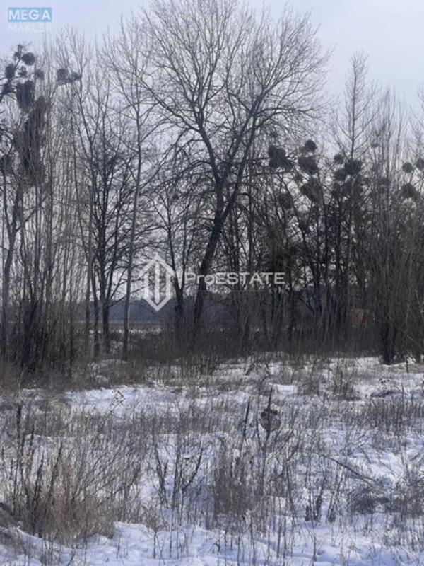 Продажа участка, 200&nbsp;соток, земля сельскохозяйственного назначения, <a class="location-link" href="/gnedin/" title="Недвижимость Гнідін">Гнідин</a>, Паркова (изображение 3)