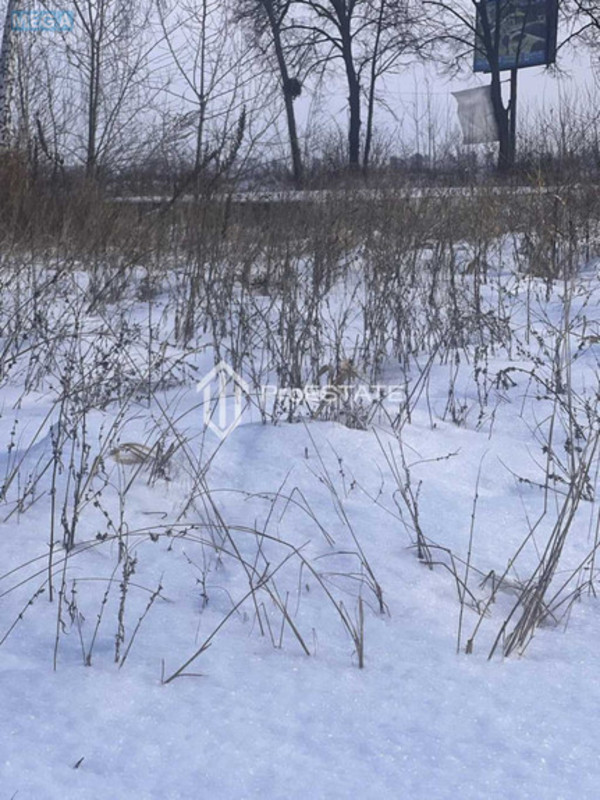 Продажа участка, 200&nbsp;соток, земля сельскохозяйственного назначения, <a class="location-link" href="/gnedin/" title="Недвижимость Гнідін">Гнідин</a>, Паркова (изображение 5)