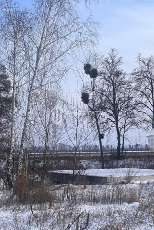 Продажа участка, 200&nbsp;соток, земля сельскохозяйственного назначения, <a class="location-link" href="/gnedin/" title="Недвижимость Гнідін">Гнідин</a>, Паркова (изображение 10)