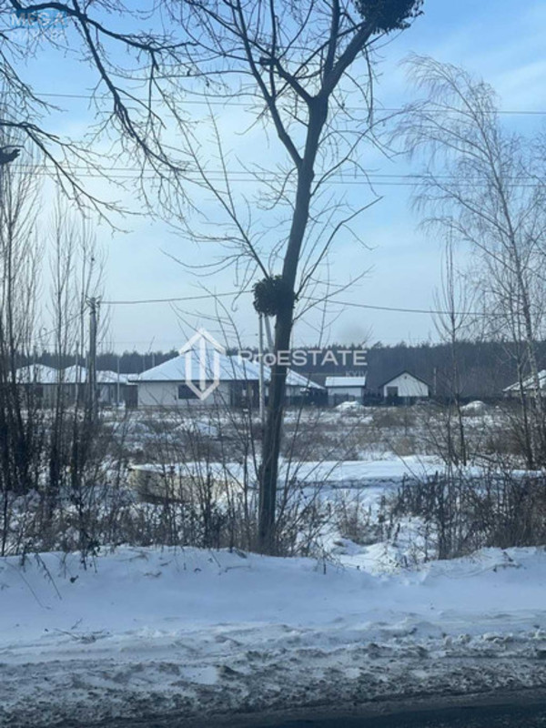 Продажа участка, 200&nbsp;соток, земля сельскохозяйственного назначения, <a class="location-link" href="/gnedin/" title="Недвижимость Гнідін">Гнідин</a>, Паркова (изображение 16)