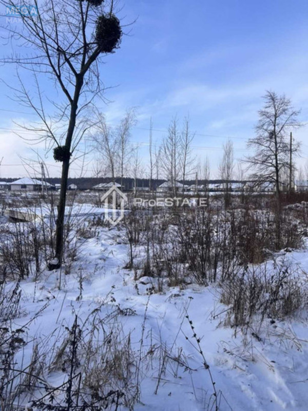 Продажа участка, 200&nbsp;соток, земля сельскохозяйственного назначения, <a class="location-link" href="/gnedin/" title="Недвижимость Гнідін">Гнідин</a>, Паркова (изображение 18)