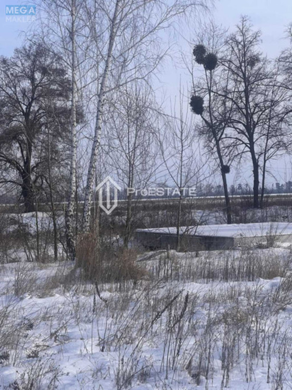 Продажа участка, 200&nbsp;соток, земля сельскохозяйственного назначения, <a class="location-link" href="/gnedin/" title="Недвижимость Гнідін">Гнідин</a>, Паркова (изображение 20)