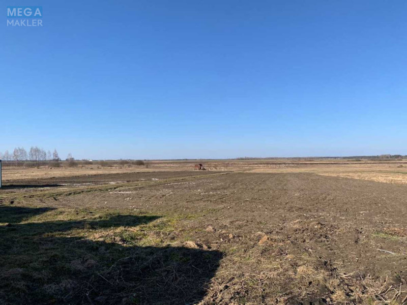 Продаж дома, 1&nbsp; поверх, 73,60&nbsp;кв.м, 6&nbsp;кімнат, ділянка 56,60&nbsp;соток, <a class="location-link" href="/borodyanka/" title="Недвижимость Бородянка">Бородянка</a>, Волиця (изображение 16)