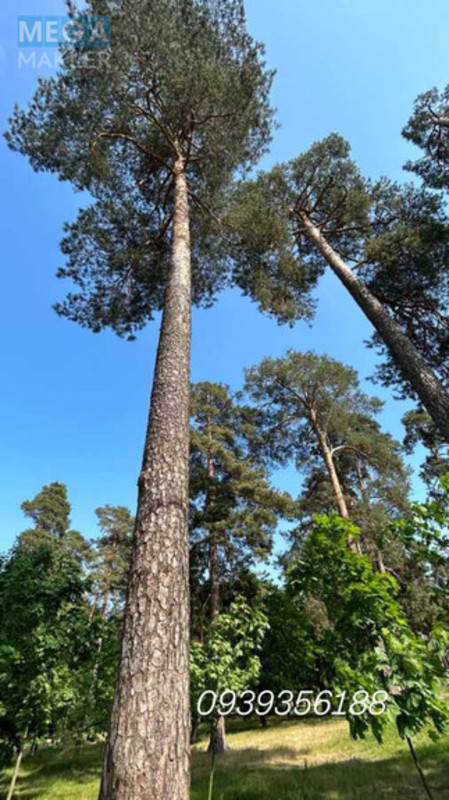 Продаж 2 кімнатної квартири (72/36/12), 23 пов. 25 пов. будинку, <a class="location-link" href="/kiev/" title="Недвижимость Київ">Київ</a>, <a class="location-link" href="/kiev/darnickij/" title="Недвижимость Дарницький район">Дарницький р-н</a>, Миколи Хвильового вул., 3 (изображение 16)