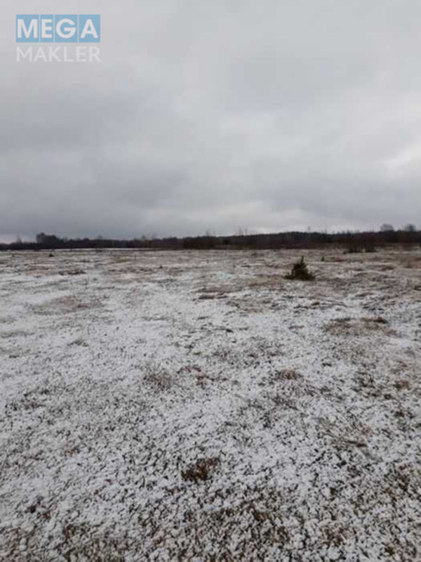 Продажа участка, 25&nbsp;соток, участок под жилую застройку, <a class="location-link" href="/kovel/" title="Недвижимость Ковель">Ковель</a>, Кримчука (изображение 3)