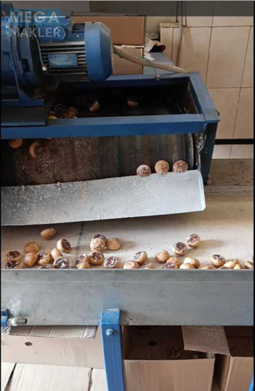 Оренда комплексу будівель та споруд, 1&nbsp;788&nbsp;кв.м, под производство, <a class="location-link" href="/stavishe/" title="Недвижимость Ставище">Ставище</a>, промислова, 1 (изображение 2)