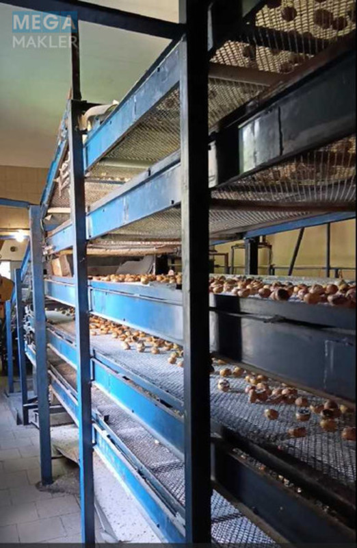 Оренда комплексу будівель та споруд, 1&nbsp;788&nbsp;кв.м, под производство, <a class="location-link" href="/stavishe/" title="Недвижимость Ставище">Ставище</a>, промислова, 1 (изображение 3)