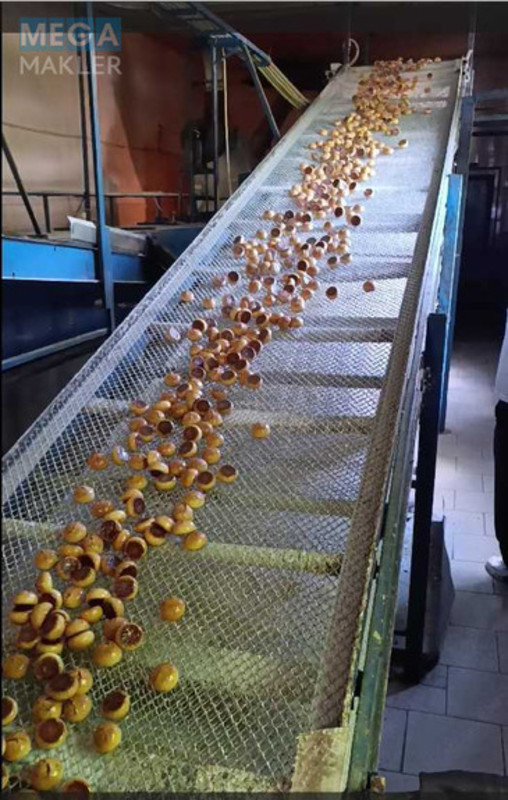 Оренда комплексу будівель та споруд, 1&nbsp;788&nbsp;кв.м, под производство, <a class="location-link" href="/stavishe/" title="Недвижимость Ставище">Ставище</a>, промислова, 1 (изображение 4)