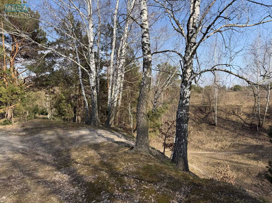 Продажа участка, 8&nbsp;соток, участок под жилую застройку, <a class="location-link" href="/malyutyanka/" title="Недвижимость Малютянка">Малютянка</a>, Гоголя (изображение 2)