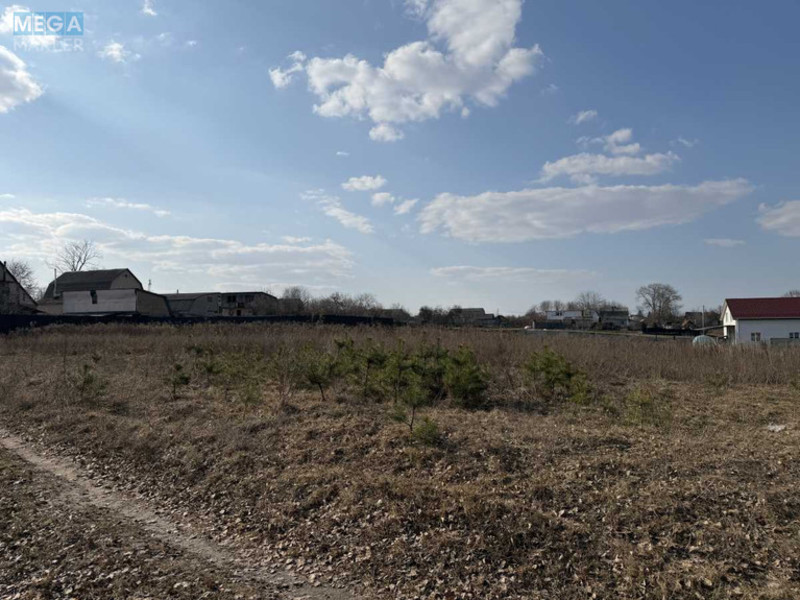 Продажа участка, 8&nbsp;соток, участок под жилую застройку, <a class="location-link" href="/malyutyanka/" title="Недвижимость Малютянка">Малютянка</a>, Гоголя (изображение 5)