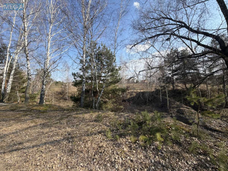 Продажа участка, 8&nbsp;соток, участок под жилую застройку, <a class="location-link" href="/malyutyanka/" title="Недвижимость Малютянка">Малютянка</a>, Гоголя (изображение 10)