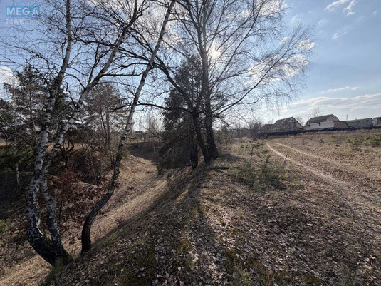 Продажа участка, 8&nbsp;соток, участок под жилую застройку, <a class="location-link" href="/malyutyanka/" title="Недвижимость Малютянка">Малютянка</a>, Гоголя (изображение 11)