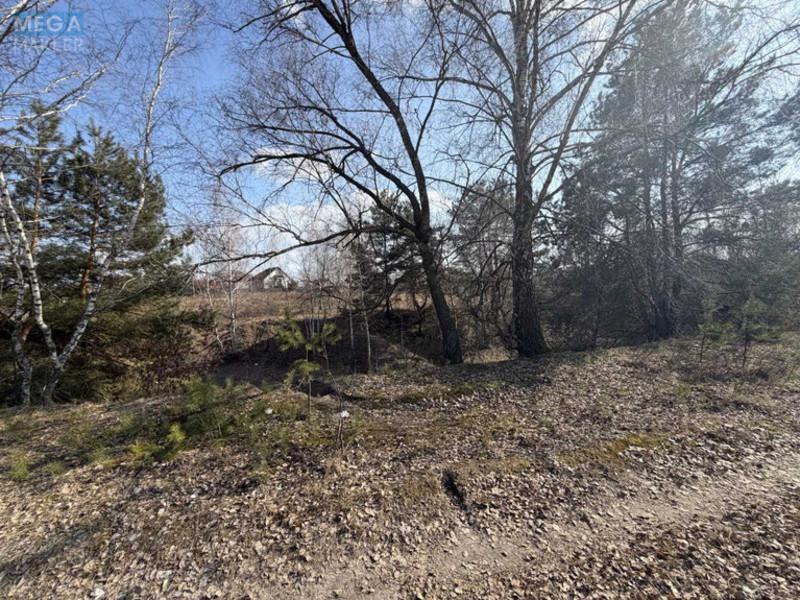 Продажа участка, 8&nbsp;соток, участок под жилую застройку, <a class="location-link" href="/malyutyanka/" title="Недвижимость Малютянка">Малютянка</a>, Гоголя (изображение 12)