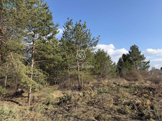 Продажа участка, 13&nbsp;соток, участок под жилую застройку, <a class="location-link" href="/hotyanovka/" title="Недвижимость Хотянівка">Хотянівка</a>, КМ Вишгородська Брама (изображение 11)