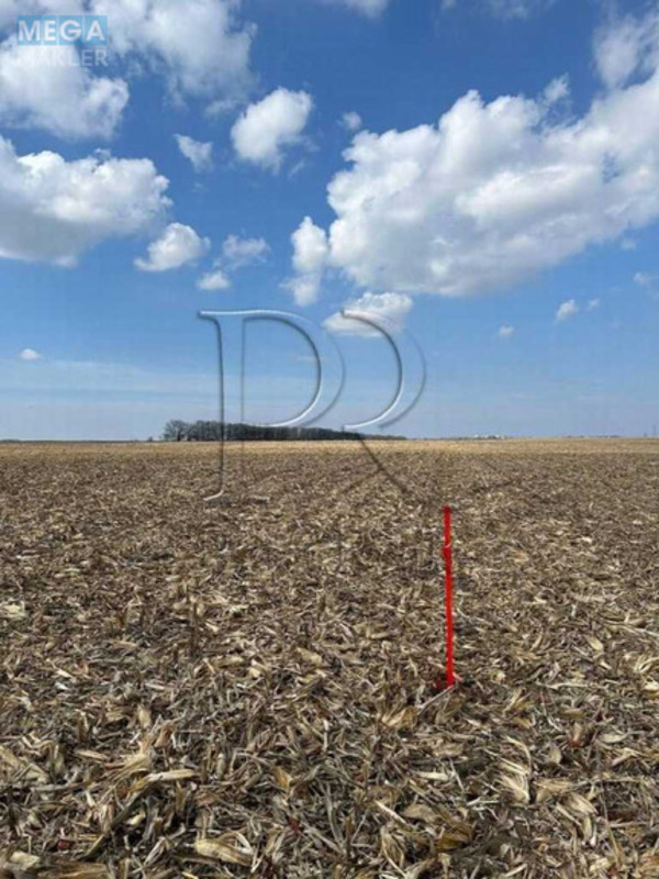 Продажа участка, 50&nbsp;соток, участок под жилую застройку, <a class="location-link" href="/belogorodka-selo-kv/" title="Недвижимость Білогородка">Білогородка</a>, Білогородська вулиця (изображение 2)