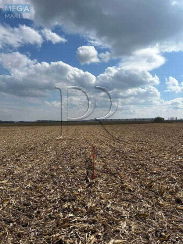 Продажа участка, 50&nbsp;соток, участок под жилую застройку, <a class="location-link" href="/belogorodka-selo-kv/" title="Недвижимость Білогородка">Білогородка</a>, Білогородська вулиця (изображение 5)