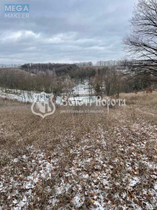 Продажа участка, 80&nbsp;соток, участок под жилую застройку, <a class="location-link" href="/derevyanaya/" title="Недвижимость Дерев'яна">Дерев`яна</a>, Глинищанська вул. (изображение 4)