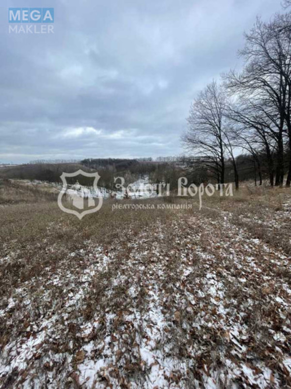 Продажа участка, 80&nbsp;соток, участок под жилую застройку, <a class="location-link" href="/derevyanaya/" title="Недвижимость Дерев'яна">Дерев`яна</a>, Глинищанська вул. (изображение 5)