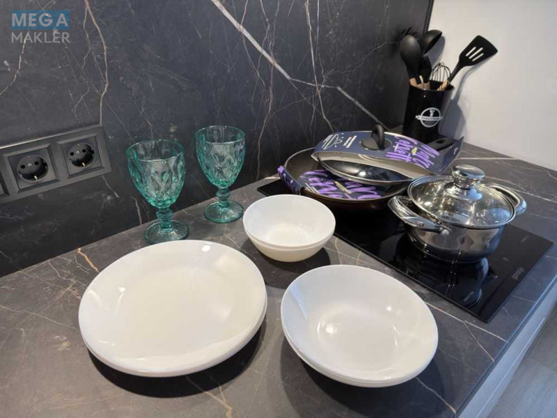 Оренда 1 кімнатної квартири, <a class="location-link" href="/kiev/" title="Недвижимость Київ">Київ</a>, <a class="location-link" href="/kiev/goloseevskij/" title="Недвижимость Голосіївський район">Голосіївський р-н</a>, Столичное шоссе, 1А (изображение 9)