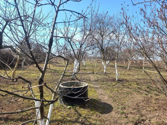 Продаж дома, 2&nbsp;поверху, 126&nbsp;кв.м, 3&nbsp;кімнати, ділянка 47&nbsp;соток, <a class="location-link" href="/negrashi/" title="Недвижимость Неграші">Неграші</a>, Ватутіна, 27 (изображение 22)